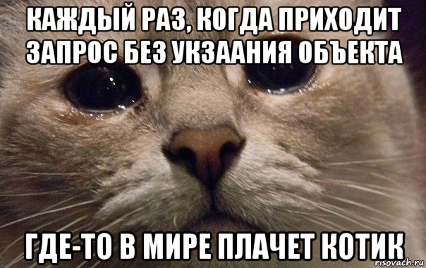 каждый раз, когда приходит запрос без укзаания объекта где-то в мире плачет котик, Мем   В мире грустит один котик
