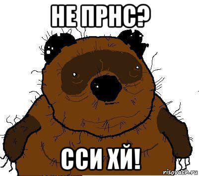 не прнс? сси хй!, Мем  Винни збс