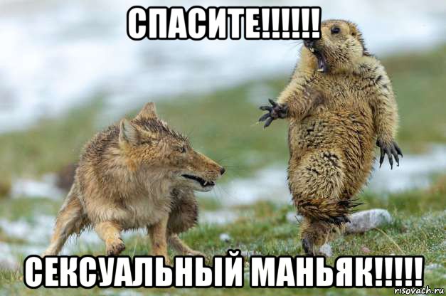 спасите!!!!!! сексуальный маньяк!!!!!, Мем Волк и суслик