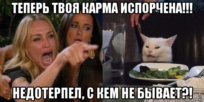 теперь твоя карма испорчена!!! недотерпел, с кем не бывает?!, Мем Женщина орёт на кота