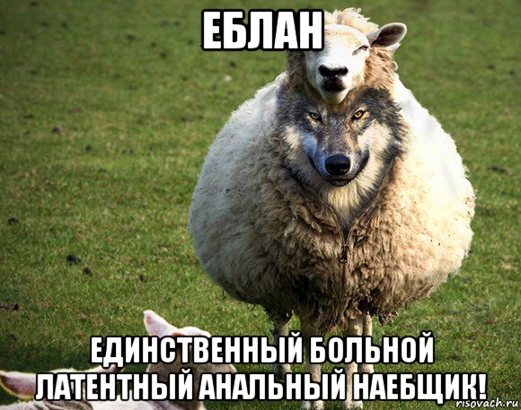 еблан единственный больной латентный анальный наебщик!, Мем Злая Овца