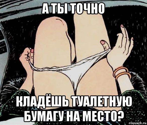 а ты точно кладёшь туалетную бумагу на место?, Мем А ты точно