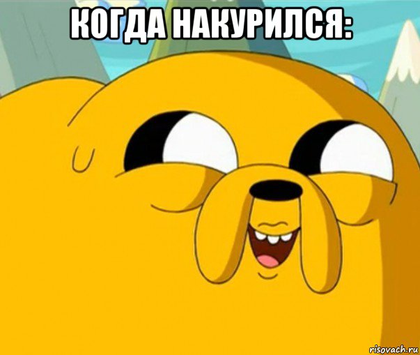 когда накурился: , Мем  Adventure time