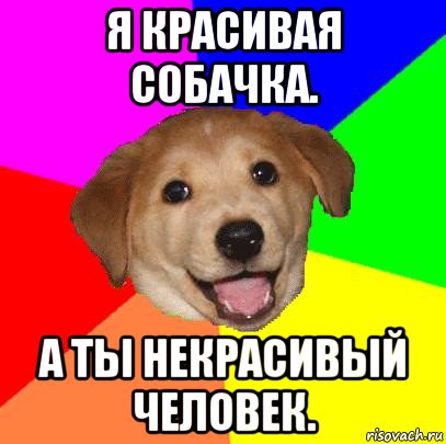 я красивая собачка. а ты некрасивый человек., Мем Advice Dog