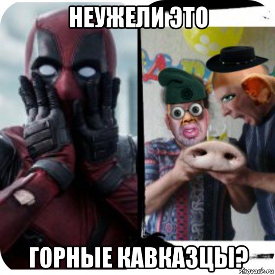 неужели это горные кавказцы?