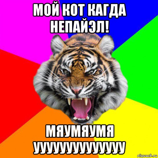 мой кот кагда непайэл! мяумяумя уууууууууууууу, Мем  ДЕРЗКИЙ ТИГР