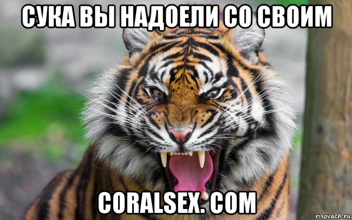 сука вы надоели со своим coralsex. com