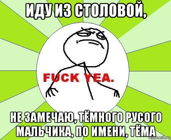 иду из столовой, не замечаю, тёмного русого мальчика, по имени, тёма, Мем фак е