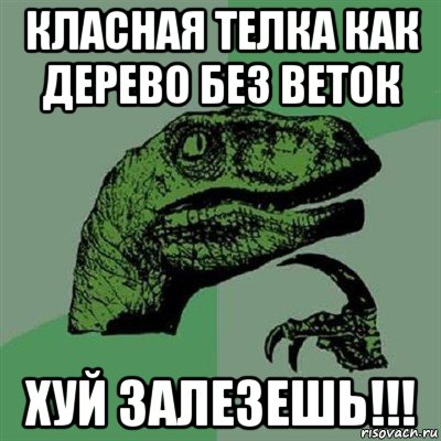 класная телка как дерево без веток хуй залезешь!!!