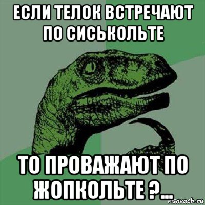 если телок встречают по сиськольте то проважают по жопкольте ?..., Мем Филосораптор