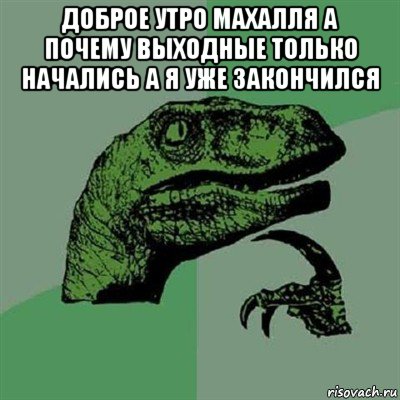 доброе утро махалля а почему выходные только начались а я уже закончился , Мем Филосораптор