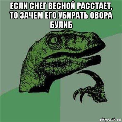 если снег весной расстает, то зачем его убирать овора булиб , Мем Филосораптор