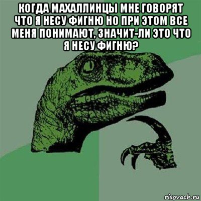 когда махаллинцы мне говорят что я несу фигню но при этом все меня понимают, значит-ли это что я несу фигню? , Мем Филосораптор