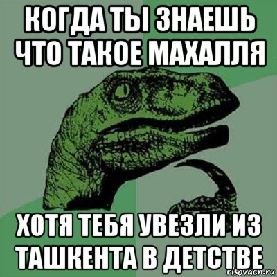 когда ты знаешь что такое махалля хотя тебя увезли из ташкента в детстве, Мем Филосораптор