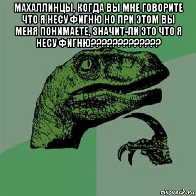 махаллинцы, когда вы мне говорите что я несу фигню но при этом вы меня понимаете, значит-ли это что я несу фигню????????????? , Мем Филосораптор