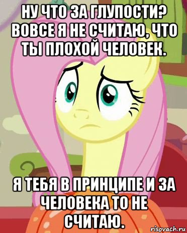 ну что за глупости? вовсе я не считаю, что ты плохой человек. я тебя в принципе и за человека то не считаю., Мем Флаттершай грустная