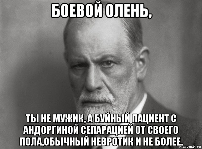 боевой олень, ты не мужик, а буйный пациент с андоргиной сепарацией от своего пола,обычный невротик и не более., Мем  Фрейд