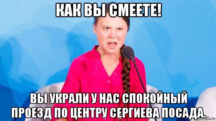 как вы смеете! вы украли у нас спокойный проезд по центру сергиева посада., Мем Грета тунберг