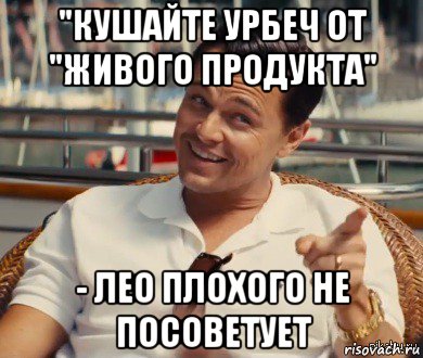 "кушайте урбеч от "живого продукта" - лео плохого не посоветует, Мем Хитрый Гэтсби