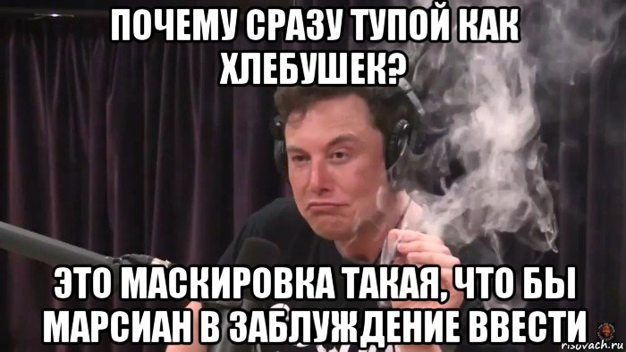 почему сразу тупой как хлебушек? это маскировка такая, что бы марсиан в заблуждение ввести, Мем Илон Маск