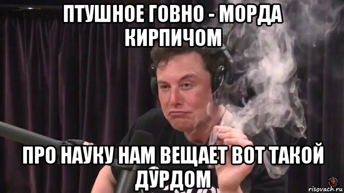 птушное говно - морда кирпичом про науку нам вещает вот такой дурдом, Мем Илон Маск