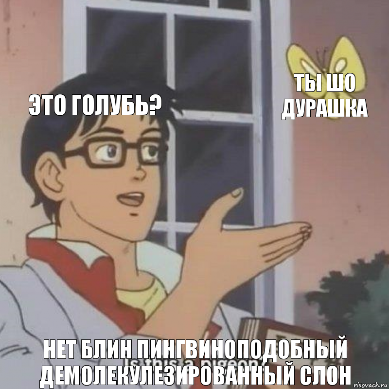 это голубь? ты шо дурашка Нет блин пингвиноподобный демолекулезированный слон