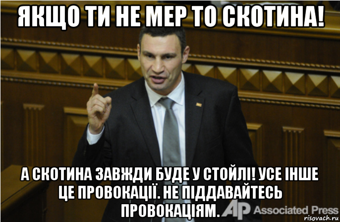 якщо ти не мер то скотина! а скотина завжди буде у стойлі! усе інше це провокації. не піддавайтесь провокаціям., Мем кличко философ