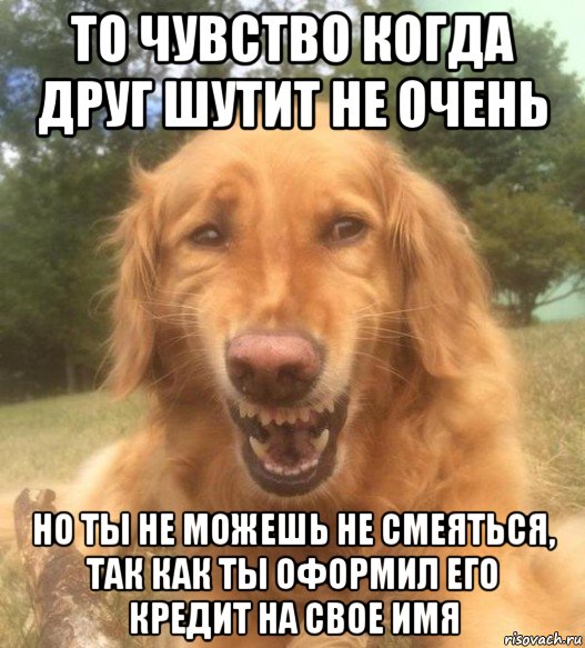 то чувство когда друг шутит не очень но ты не можешь не смеяться, так как ты оформил его кредит на свое имя, Мем   Когда увидел что соседского кота отнесли в чебуречную