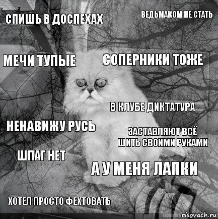 Спишь в доспехах Заставляют всё шить своими руками Соперники тоже Хотел просто фехтовать Ненавижу Русь Ведьмаком не стать А у меня лапки Мечи тупые Шпаг нет В клубе диктатура