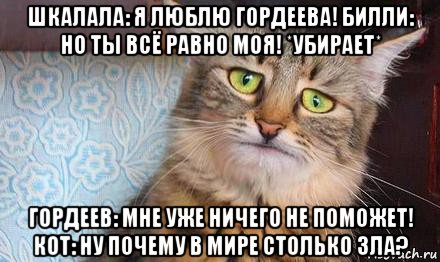 шкалала: я люблю гордеева! билли: но ты всё равно моя! *убирает* гордеев: мне уже ничего не поможет! кот: ну почему в мире столько зла?, Мем  кот печаль