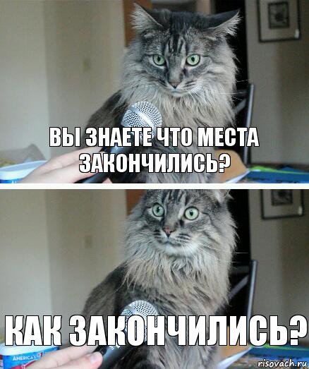 вы знаете что места закончились? Как закончились?, Комикс  кот с микрофоном