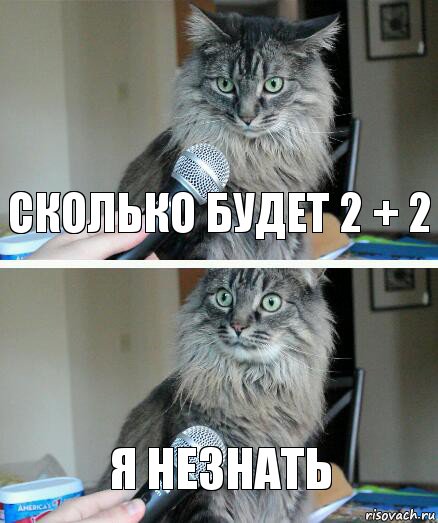 Сколько будет 2 + 2 Я незнать