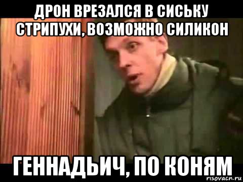 дрон врезался в сиську стрипухи, возможно силикон геннадьич, по коням, Мем Ларин по коням