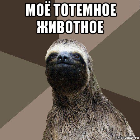 моё тотемное животное 