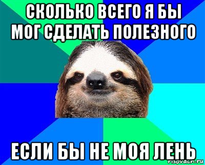 сколько всего я бы мог сделать полезного если бы не моя лень, Мем Ленивец