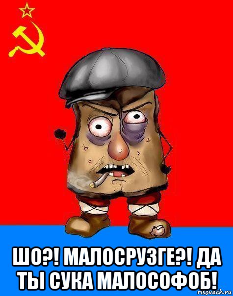  шо?! малосрузге?! да ты сука малософоб!, Мем Малорашка