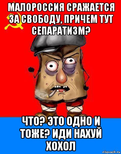 малороссия сражается за свободу, причем тут сепаратизм? что? это одно и тоже? иди нахуй хохол, Мем Малорашка