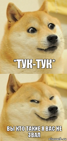 *тук-тук* вы кто такие я вас не звал, Комикс   DOGE довольный