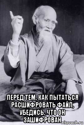  перед тем, как пытаться расшифровать файл, убедись, что он зашифрован, Мем морихей уэсиба