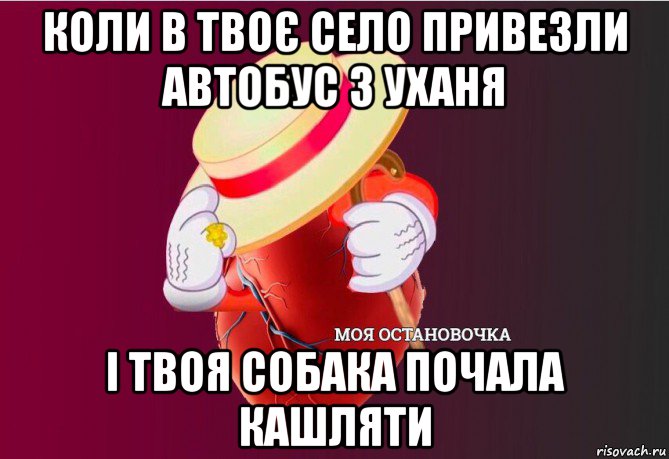 коли в твоє село привезли автобус з уханя і твоя собака почала кашляти, Мем   Моя остановочка