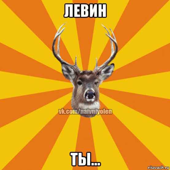 левин ты...