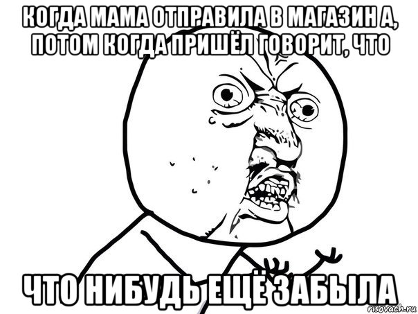 когда мама отправила в магазин а, потом когда пришёл говорит, что что нибудь ещё забыла, Мем Ну почему (белый фон)