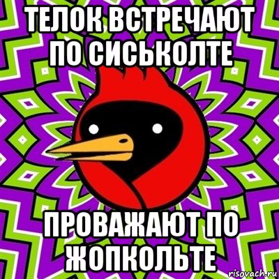 телок встречают по сиськолте проважают по жопкольте, Мем Омская птица