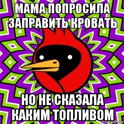 мама попросила заправить кровать но не сказала каким топливом, Мем Омская птица