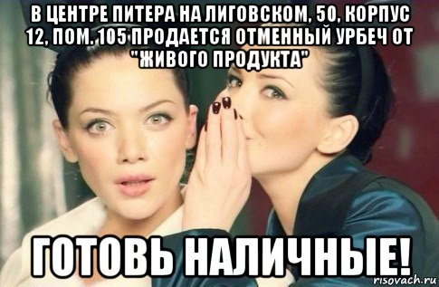 в центре питера на лиговском, 50, корпус 12, пом. 105 продается отменный урбеч от "живого продукта" готовь наличные!, Мем  Он