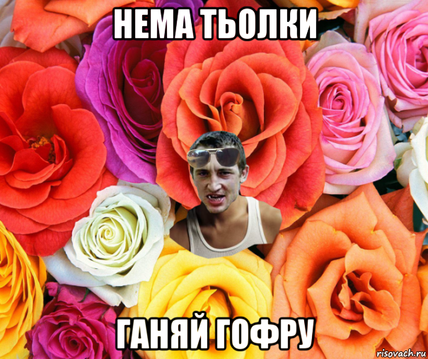 нема тьолки ганяй гофру