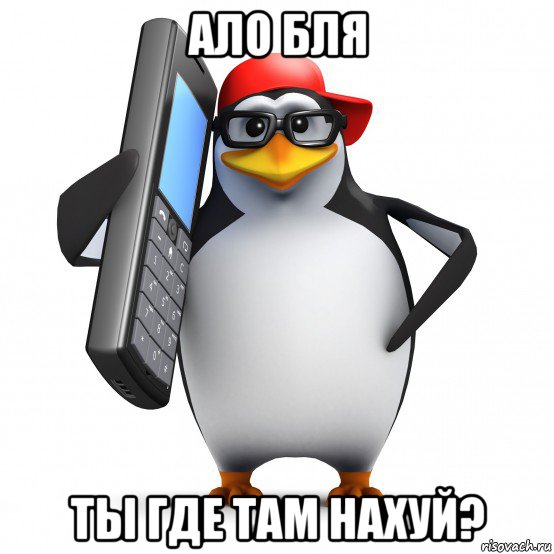 ало бля ты где там нахуй?, Мем   Пингвин звонит