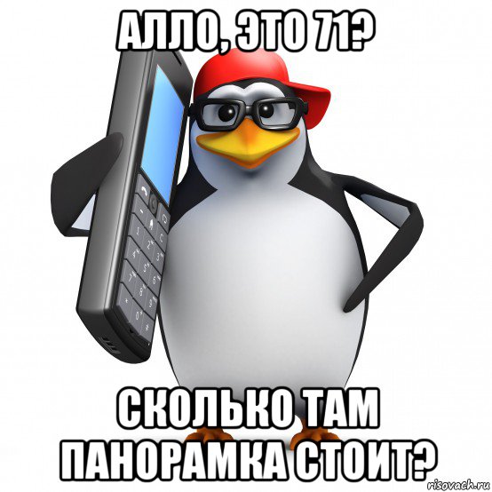 алло, это 71? сколько там панорамка стоит?, Мем   Пингвин звонит