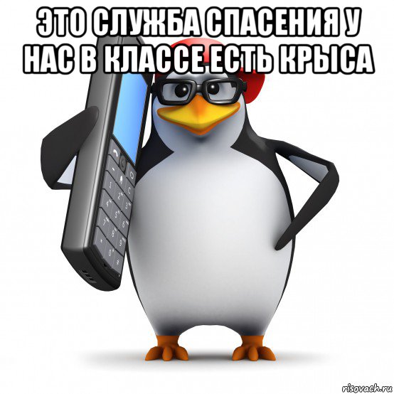 это служба спасения у нас в классе есть крыса , Мем   Пингвин звонит