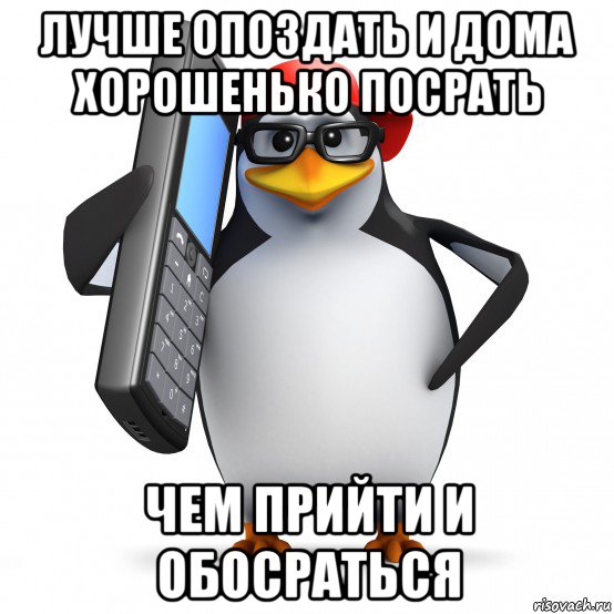 лучше опоздать и дома хорошенько посрать чем прийти и обосраться, Мем   Пингвин звонит